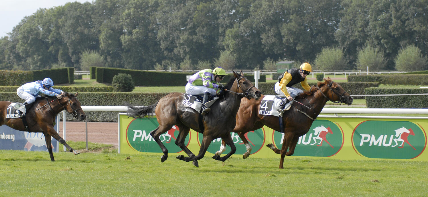 Institut Equestre National Avenches (IENA)