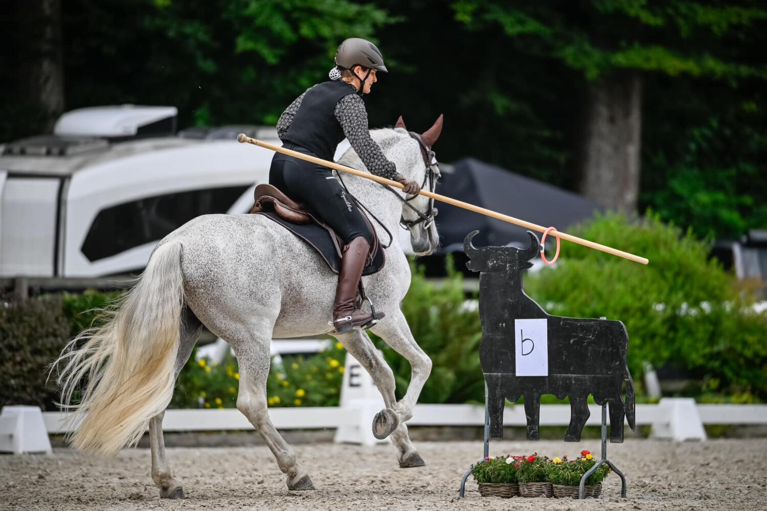 Working Equitation Turniere Mitteland