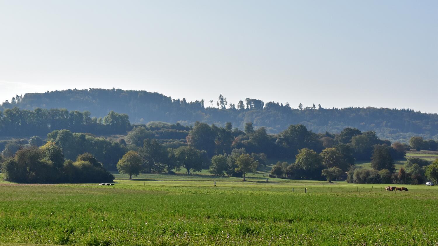 Randonnées dans la région d’Avenches