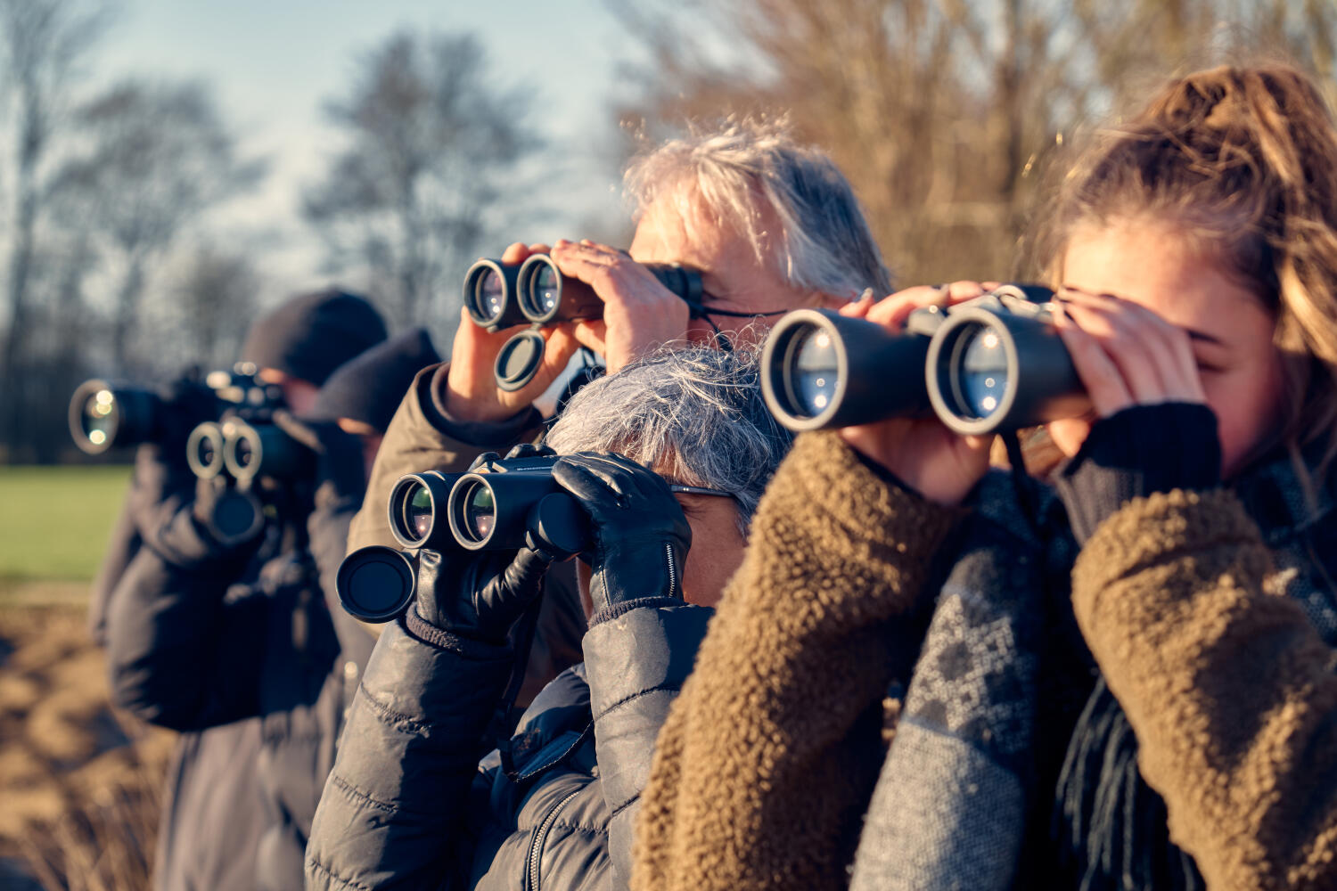 Guided Public Tours and Workshops
