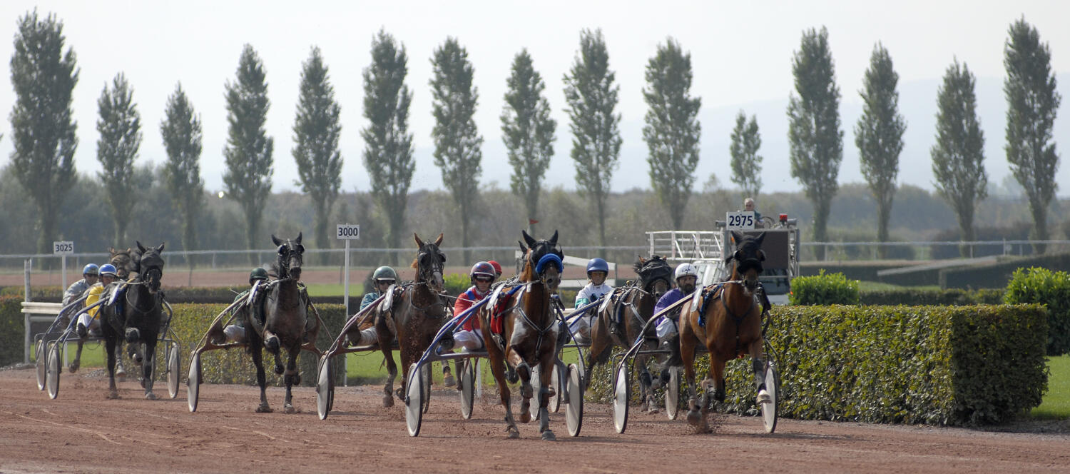 Courses et concours hippiques à IENA