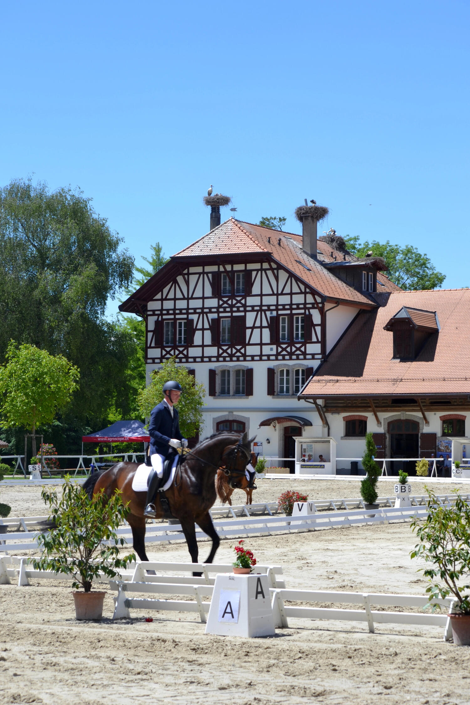 Official dressage competition